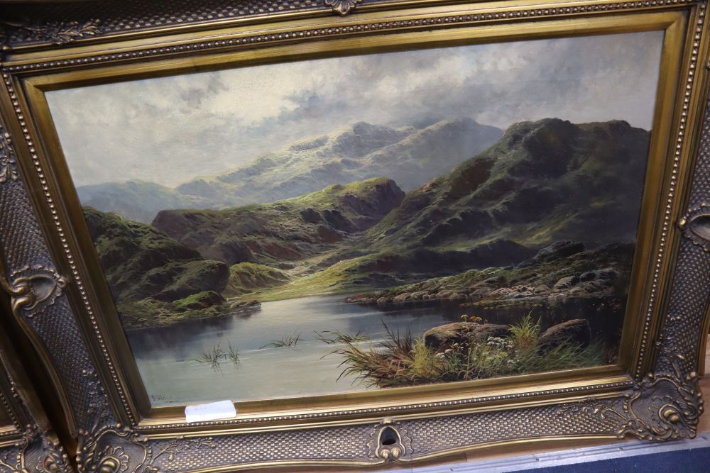 D. Hicks (b.1824), pair of oils on canvas, Mountain lake scenes, signed, 60 x 90cm